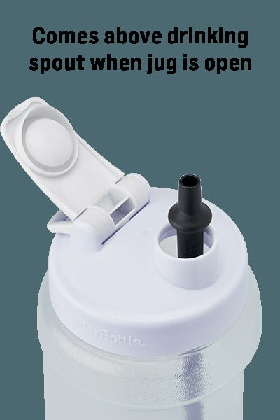 BlenderBottle® Straw - Koda